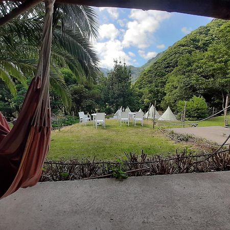Nature Retreat - Laurel Forest Seixal  Exterior foto