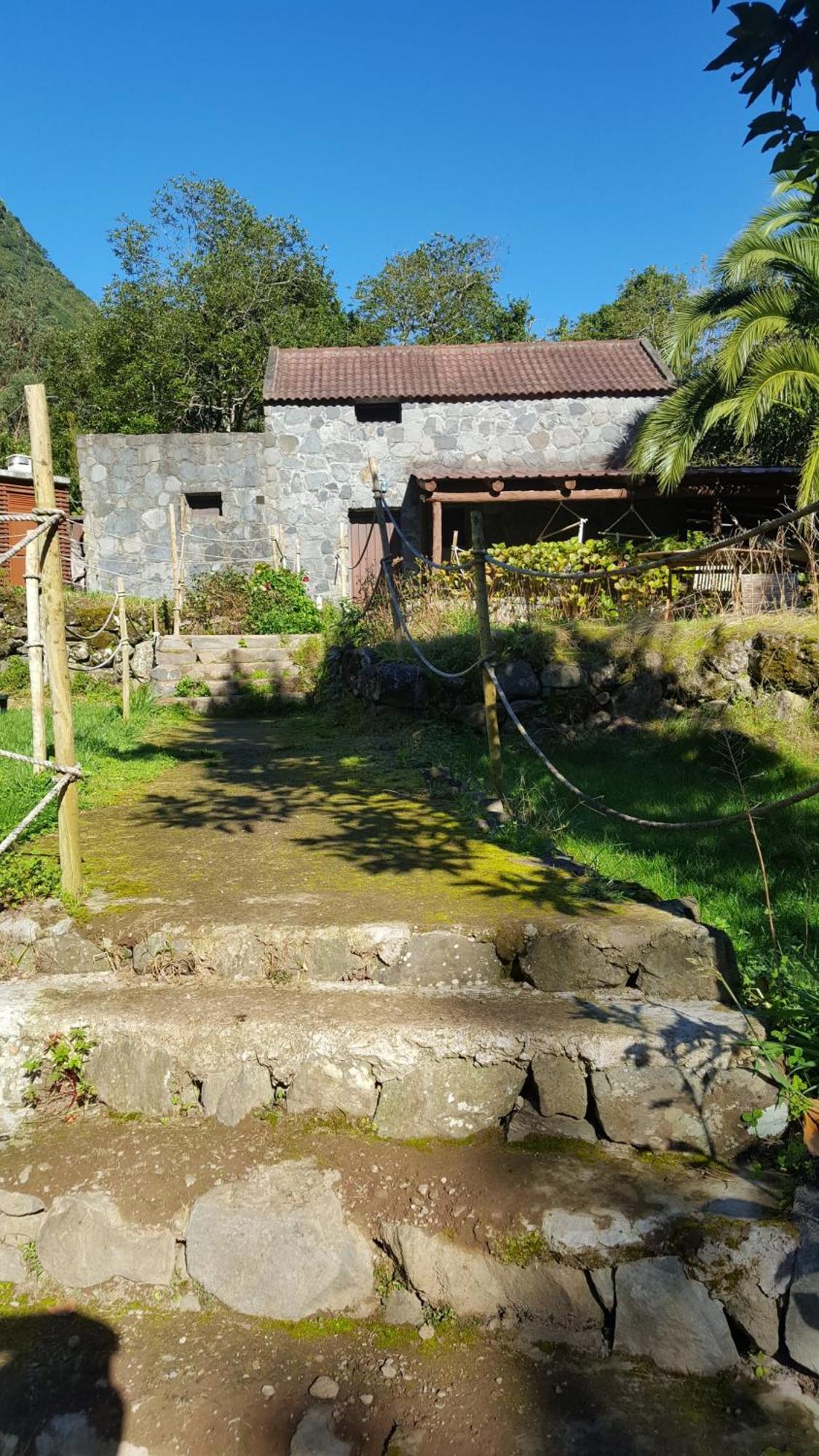 Nature Retreat - Laurel Forest Seixal  Exterior foto