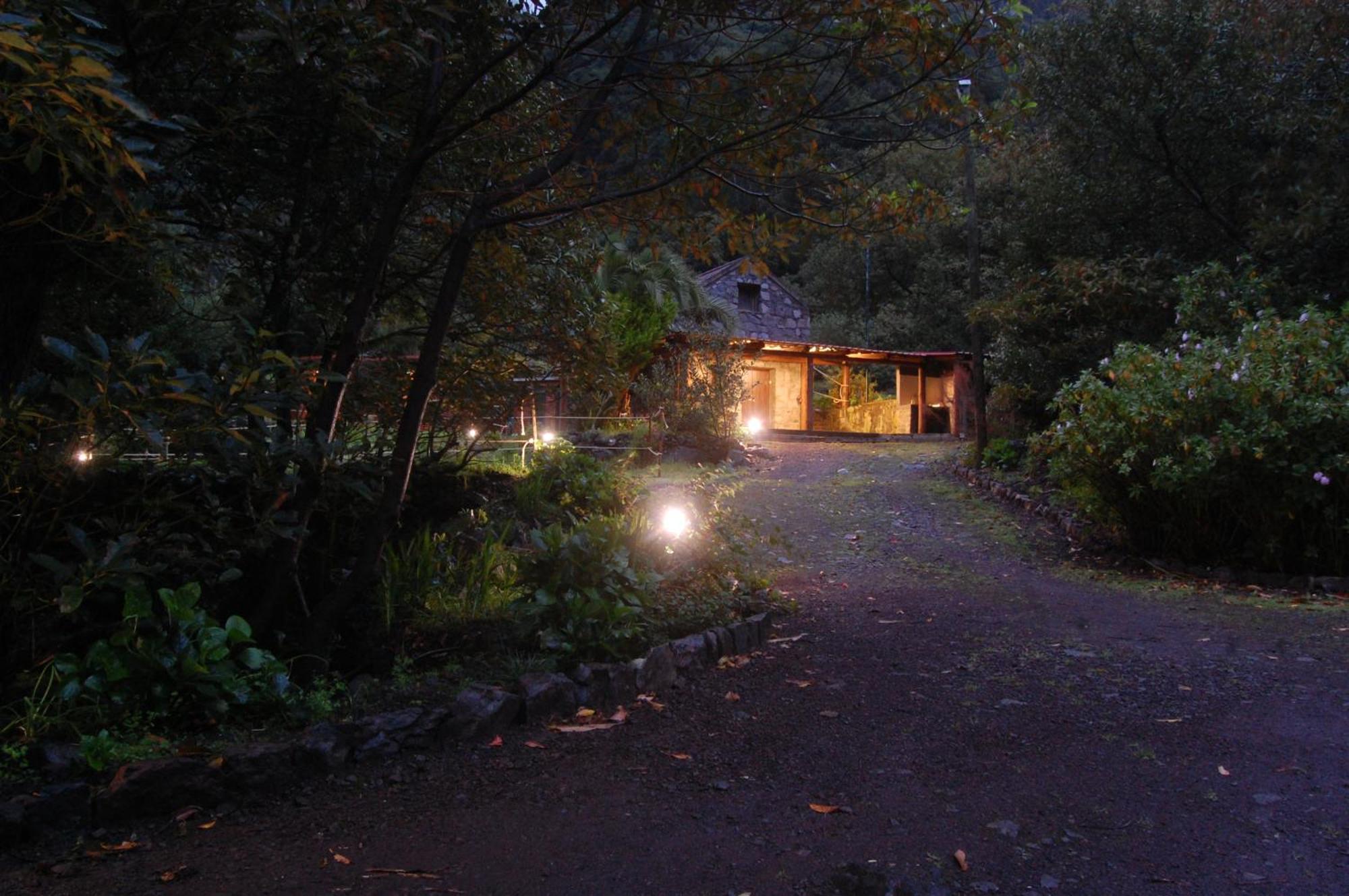 Nature Retreat - Laurel Forest Seixal  Exterior foto